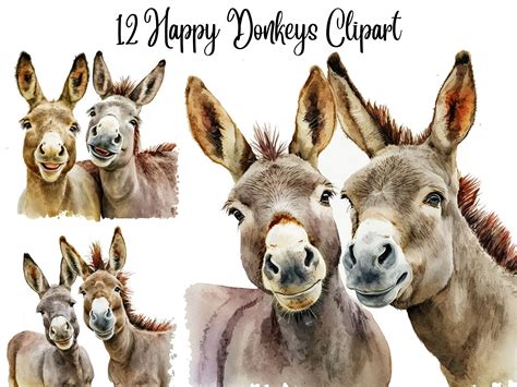 12 Happy Donkeys Clipart, Donkey Clipart, JPG, Commercial Use,digital ...