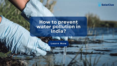 What Is Water Pollution And How To Prevent It - Infoupdate.org