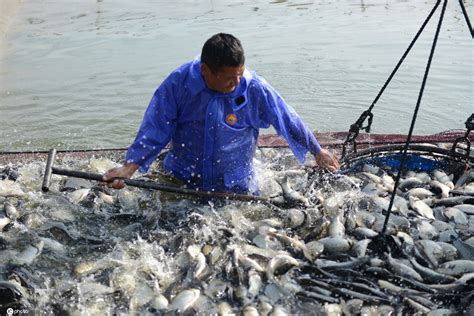 淡水中心编制的《铜陵市现代渔业发展规划（2018-2025年）》通过专家论证-中国水产科学研究院淡水渔业研究中心