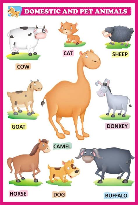 Animal Names Chart Learning For Kids | Domestic Animals Chart Chart ...