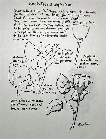 pencil drawing images butterfly