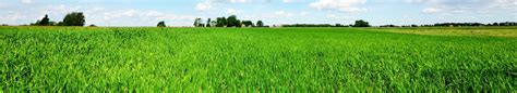 Soil & Water Conservation | Union County, NC