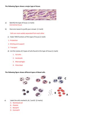Dhivehi bas foiy - These notes are updated as per the revised syllabus ...