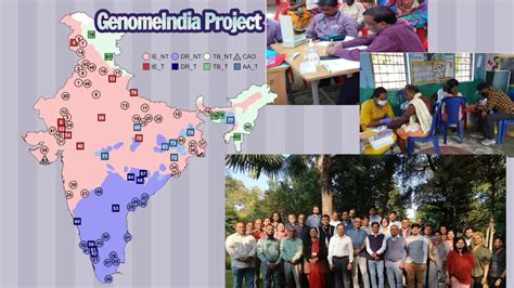 GenomeIndia data reveals 44 million unique Indian genetic variants ...