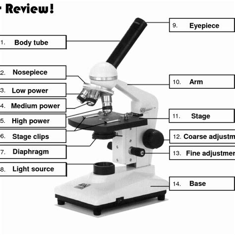 Parts Of The Microscope Worksheets