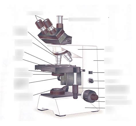 Image result for Microscope Labeled