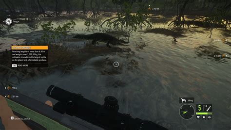 2025 - theHunter: Call of the Wild Emerald Coast Australia Reseña ...
