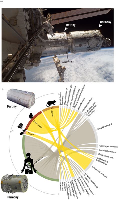 Alien Bacteria 的图像结果
