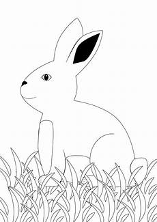 einfache malvorlage hase malvorlage hase einfach kinderbilder einfache malvorlage hase malvorlage hase einfach kinderbilder