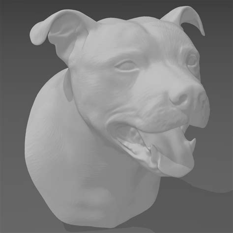 🐂 Staffordshire Bull Terrier Head Bust・ STL File for ・Cults