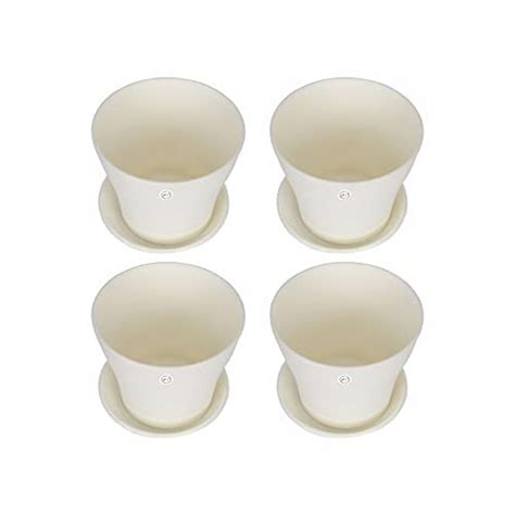 Star Pearl Merchant 6 Inch Pack of 4 Fleshy White-Colour Flower ...