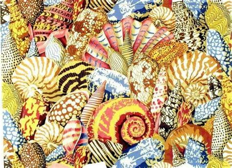 Pin by Marilyn Miller on Artists | Sea shells, Montage, Artist