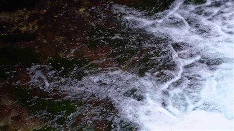 从河水中饮水的女人高清图片下载-正版图片303493698-摄图网