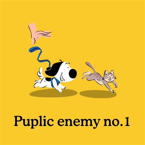 Myth Busting: Do Dogs Really Hate Cats? - Zigzag