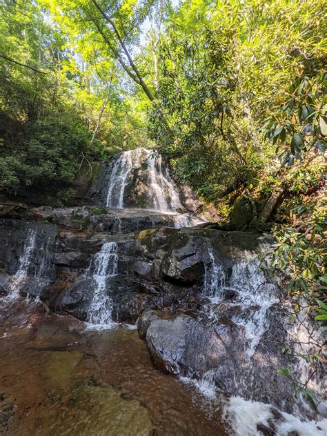 Conquering Cove Mountain Laurel Falls Loop: A Trek Through Tennessee's Untamed Heart - Mystical ...