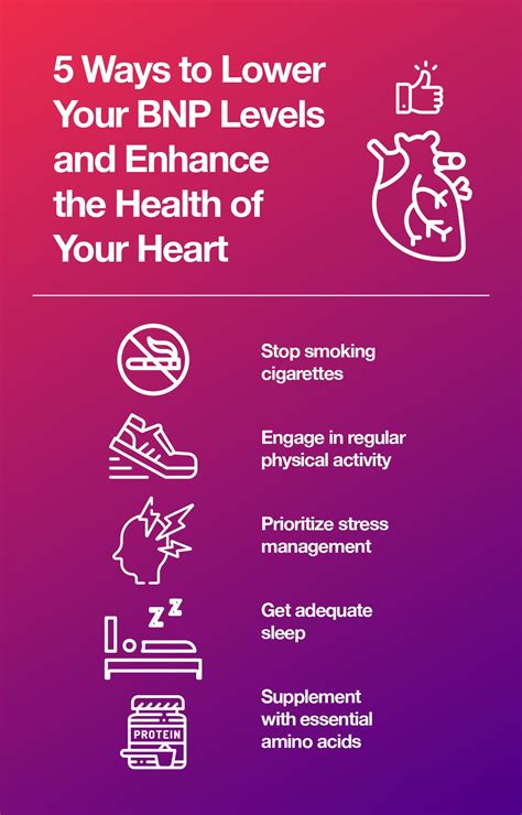 All About B-Type Natriuretic Peptide and Congestive Heart Failure – The Amino Company