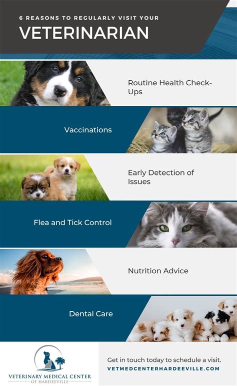 Why Is Preventative Care Important For Pets? - Veterinary Medical ...