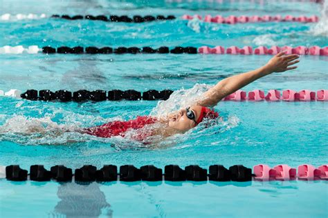 Swim Gallery Aleks 的图像结果