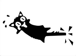 Vijaya enterprises 57 cm Cat image wallpaper sleeping cat dark wall ...