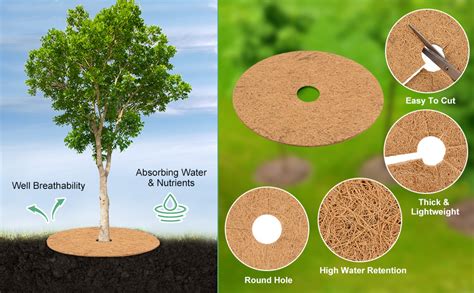 Casa De Amor Coco Coir Mulch Ring Mat 6 Inches, Pack of 10 | Natural ...