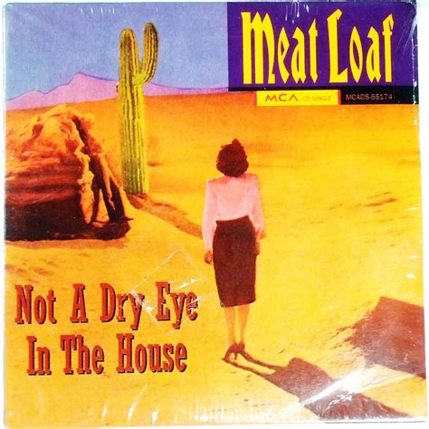 Buy Not a Dry Eye in the House / I'd Lie for You Online at Low Prices ...