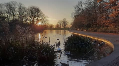 Friends Of Platt Fields Park – The Official Website of the Friends of ...