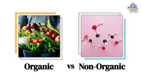 Organic Vs Non Organic Fertilizer