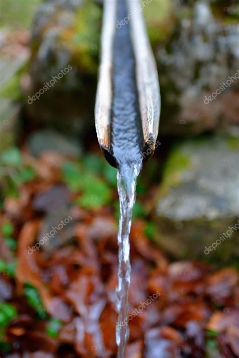 Image result for How to Find a Spring Water Source
