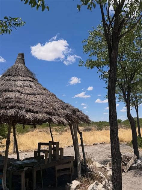 Deserts, Coasts, and Conversations: Nandini Gupta’s Namibia Diary