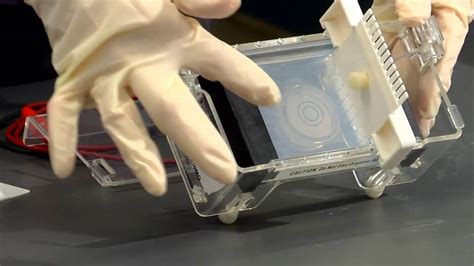 Biotechnology Projects 的图像结果