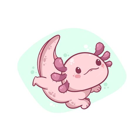 Axolotl Drawing