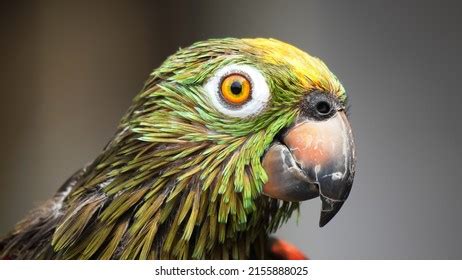 Image result for Logging Software