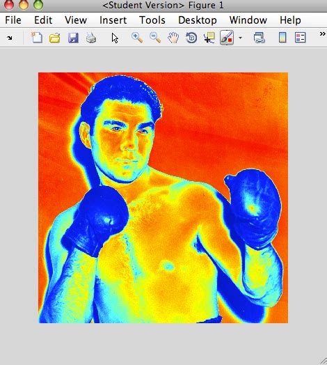 How to Swap Colours of a Picture Using MATLAB 的图像结果
