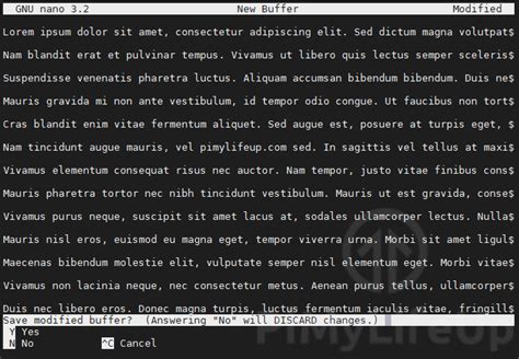 How to Write File in Nano 的图像结果