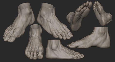 Foot Drawing 的图像结果