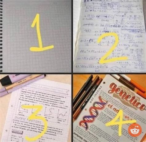 What is your type and your notes? : r/mbti