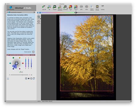 Image result for SilverFast 9 Tutorial