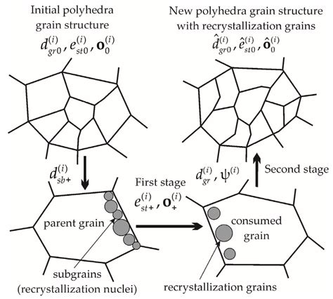 Grain Structure Rearrangement by Means the Advanced Statistical Model Modified for Describing ...