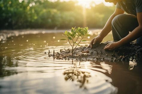 Protect Earth 的图像结果