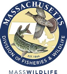 MassWildlife's Natural Heritage & Endangered Species Program | Mass.gov