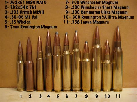Remington 7mm Mag Vs 308