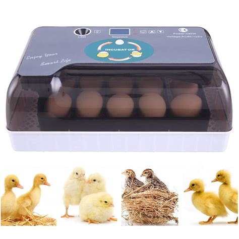 Buy 9-35 Egg Incubator Fully Automatic Breeding Machine Engine Breeding ...