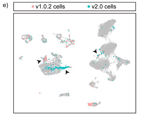 Discordant Genome Assemblies Drastically Alter the Interpretation of ...