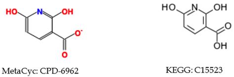 Atom Identifiers Generated by a Neighborhood-Specific Graph Coloring ...