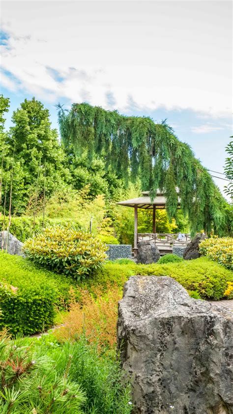 Download wallpaper trees, stones, garden, track, Netherlands, gazebo ...