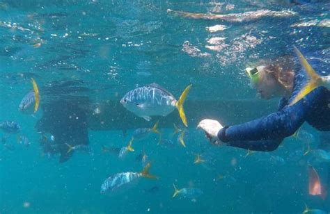 Explore And Relish The Beauty Of Amazing Whitsunday Islands