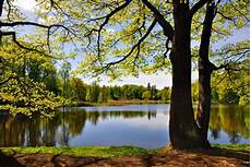 Wallpaper Beautiful Screen Beautiful Wallpaper Nature Images by Hd Nature Wallpaper Amazing Fresh Landscape Quality Wallpaper Beautiful Screen Beautiful Wallpaper Nature Images