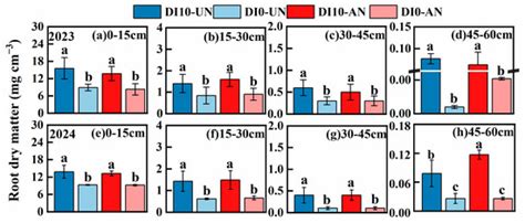 Subsurface Drip Irrigation Combined with Ammonium Enhances Root Growth ...