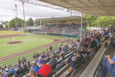 Fish Sticks Internship Application | DubSea Fish Sticks Baseball