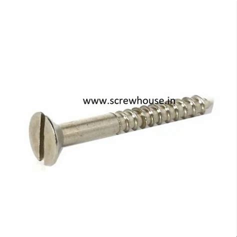 Stainless Steel Screw - MS Wooden Screw Trader - Retailer from New Delhi